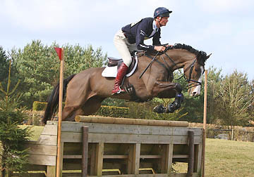 William Fox Pitt - Corofin Flyer